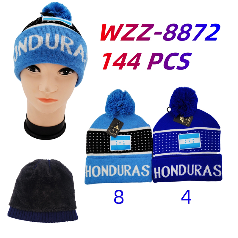 WZZ-8872 CS144